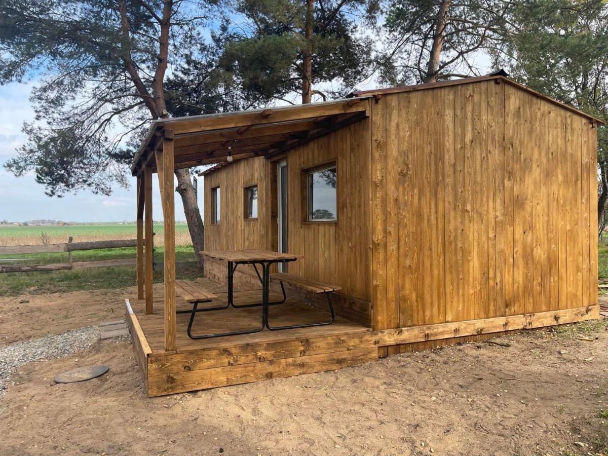 Апартаменти Pronajem Dreveneho Mobilheimu Stit Хлумец-над-Цідліноу Екстер'єр фото
